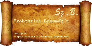 Szoboszlai Bagamér névjegykártya
